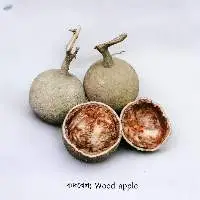 Wood Apple