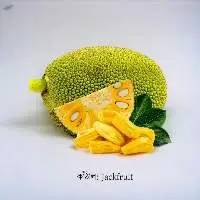 JackFruit