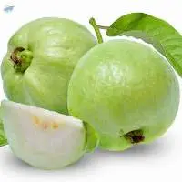 Guava