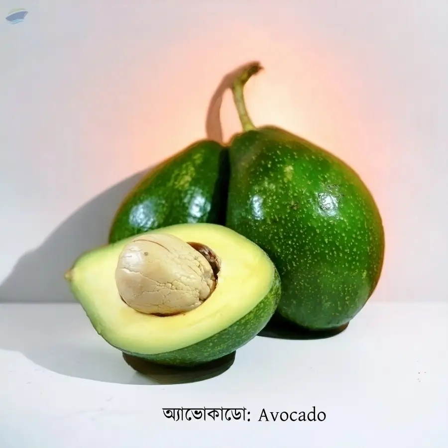 Avocado