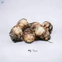 Taro