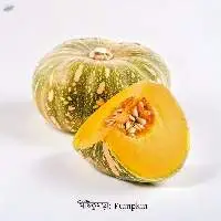 Pumpkin