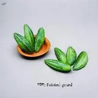 Pointed Gourd