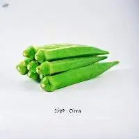 Okra