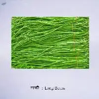 Long Beans