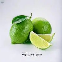 Elachi Lemon