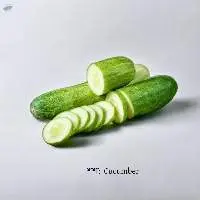 Cucumber