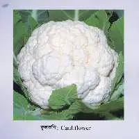 Cauliflower