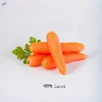 Carrot