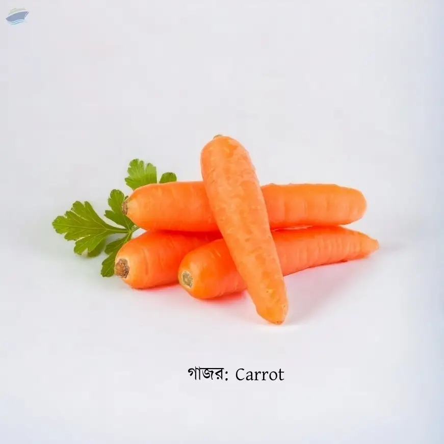 Carrot