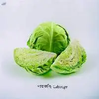 Cabbage