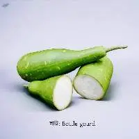 Bottle Gourd