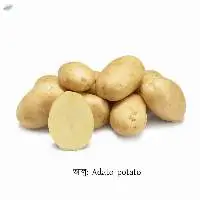 Adato Potato