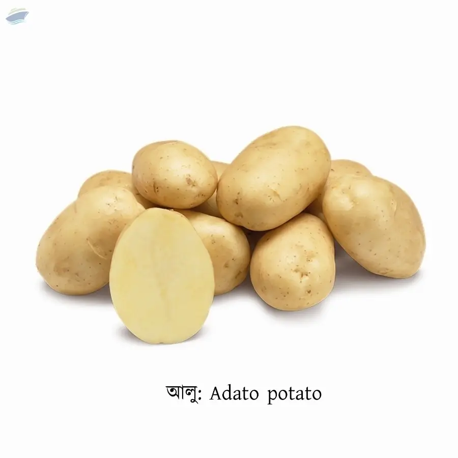 Adato Potato
