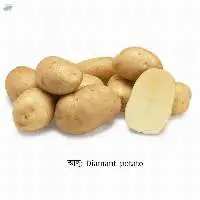 Diamand Potato