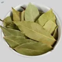 Bay Leaf
