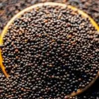 Mustard Seeds