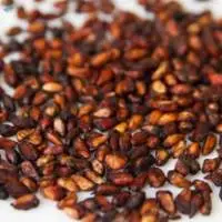 Pomegranate Seeds