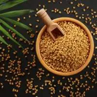 Fenugreek Seed