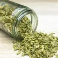 Fennel Seeds