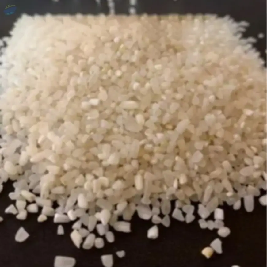 Raw 100% Broken Rice