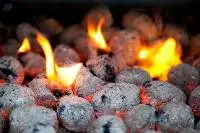 Coconut Shell Charcoal