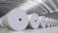 Stone Paper (Ream/Reel)