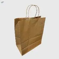 Paper Bag With Twisted Handle