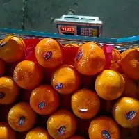 Mandarine Clmentine Muraccet