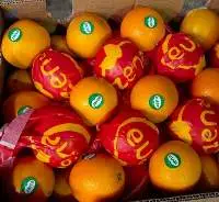 Orange Valencia