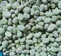 IQF Vegetables Mixed
