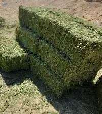 Alfalfa Hay, Alfalfa pellets