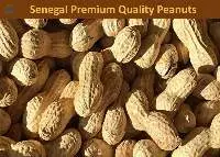 Premium Quality Peanuts