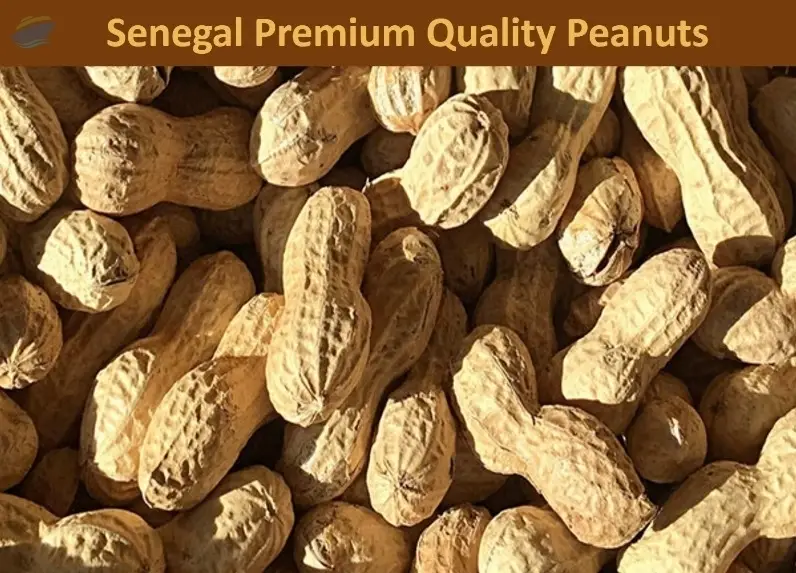 Premium Quality Peanuts