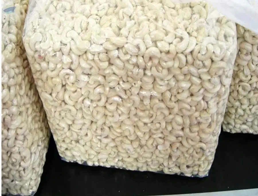Raw Cashews or Cashew Kernels
