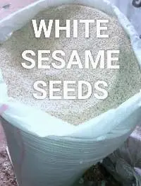 White Sesame Seeds