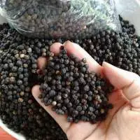 Black Pepper From Indonesia