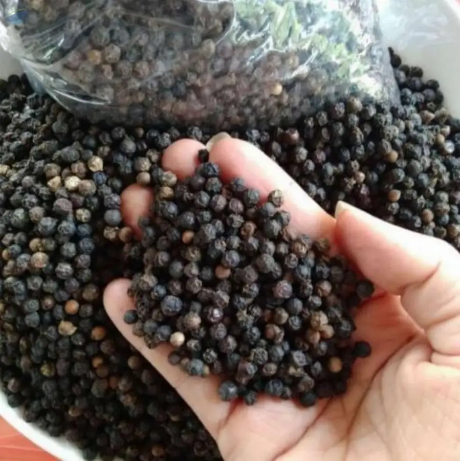 Black Pepper From Indonesia