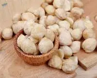 Candlenut From Indonesia