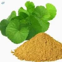 Brahmi (Bacopa monnieri) Extract