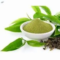 Green Tea Extract