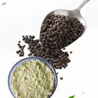 Black pepper (Piper nigrum) Extract