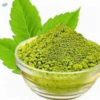 Tulsi (Ocimum tenuiflorum) Extract