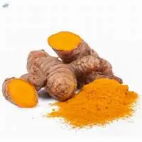 Turmeric (Curcuma longa) Extract