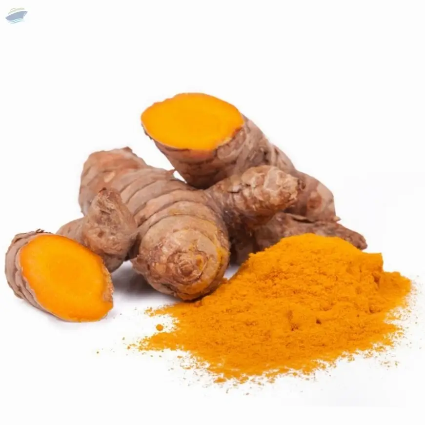 Turmeric (Curcuma longa) Extract