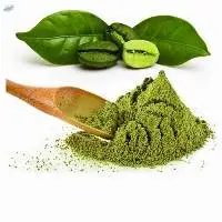 Green Coffee Bean Extract