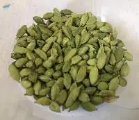 Green Cardamom
