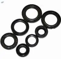 Oil seals