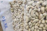 Cashew Nuts