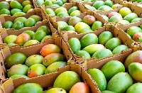 Mangoes